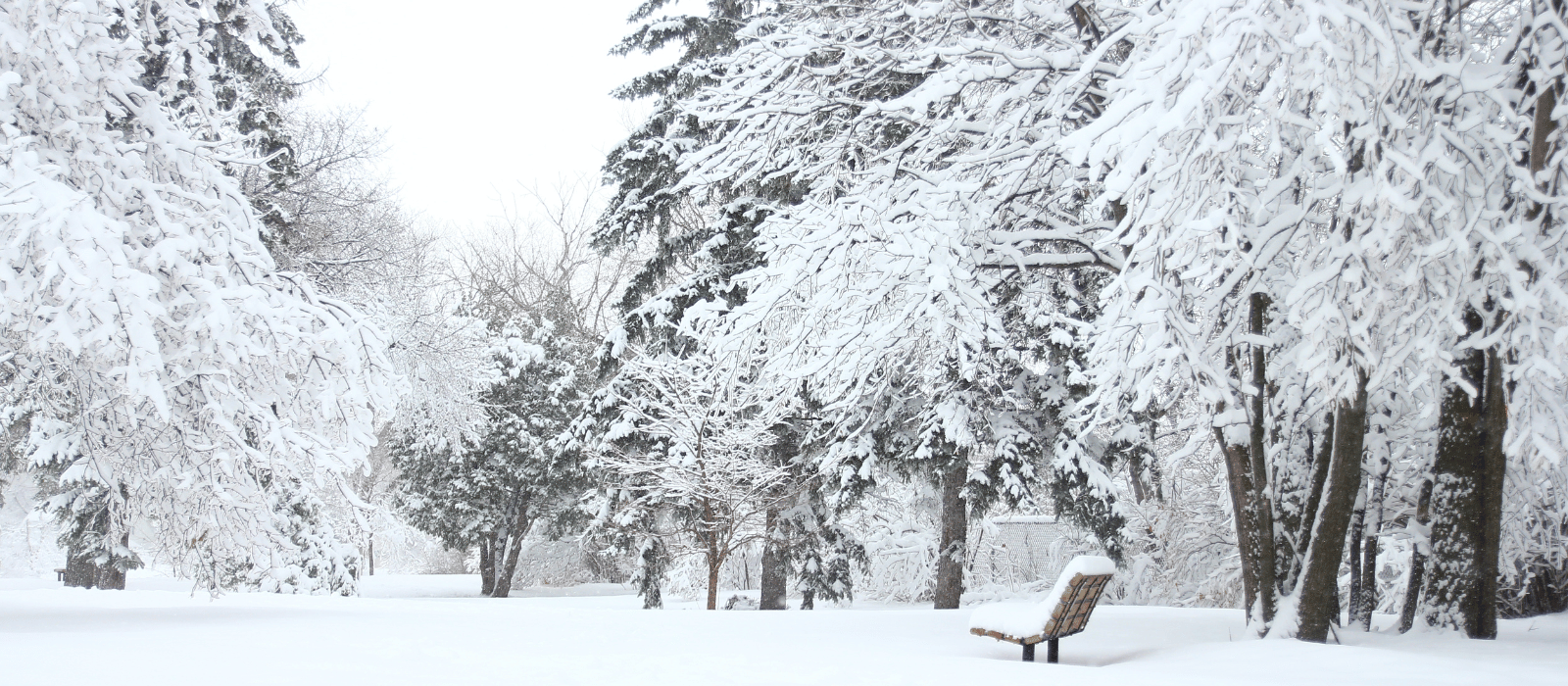 Weather Update: Delayed Branch Openings