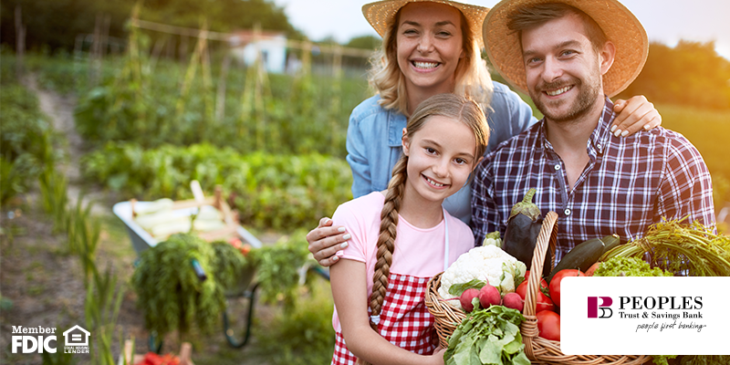 Can You Save on Groceries From Gardening? What You Should Know Before Digging In. 