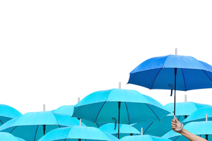 Learn more Peoples Insurance Services Image of Insurance